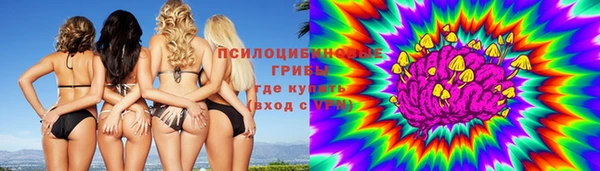 спиды Армянск