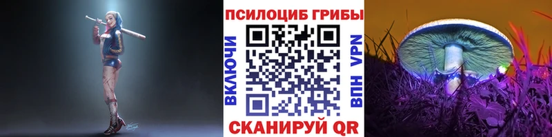 мориарти как зайти  Владивосток  Псилоцибиновые грибы GOLDEN TEACHER  купить наркотики цена 